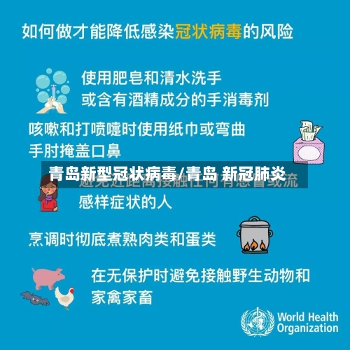 青岛新型冠状病毒/青岛 新冠肺炎