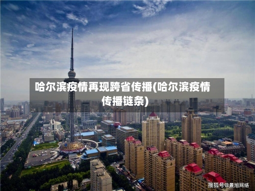 哈尔滨疫情再现跨省传播(哈尔滨疫情传播链条)-第2张图片