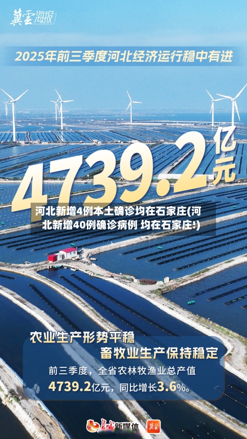 河北新增4例本土确诊均在石家庄(河北新增40例确诊病例 均在石家庄!)