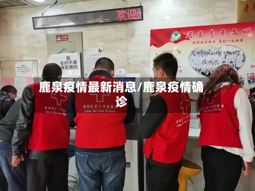 鹿泉疫情最新消息/鹿泉疫情确诊-第3张图片