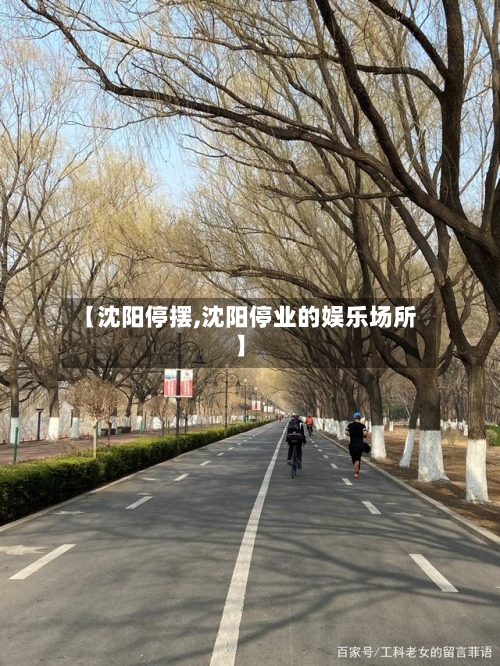 【沈阳停摆,沈阳停业的娱乐场所】-第2张图片