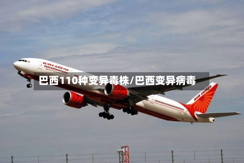 巴西110种变异毒株/巴西变异病毒-第3张图片