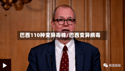 巴西110种变异毒株/巴西变异病毒