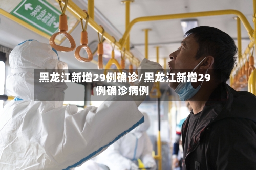 黑龙江新增29例确诊/黑龙江新增29例确诊病例