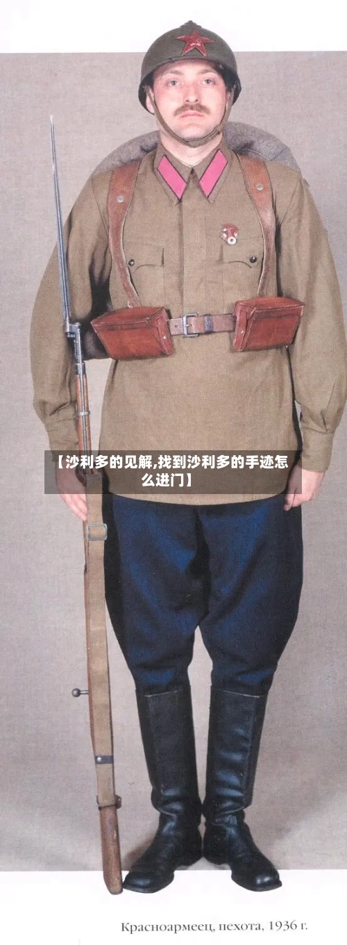 【沙利多的见解,找到沙利多的手迹怎么进门】-第2张图片