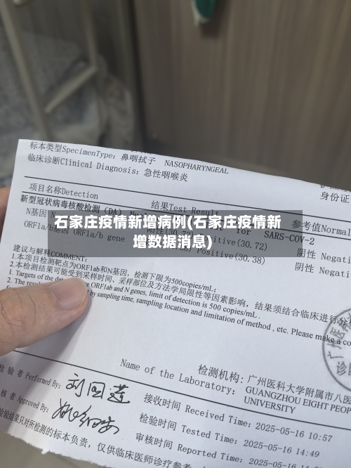 石家庄疫情新增病例(石家庄疫情新增数据消息)
