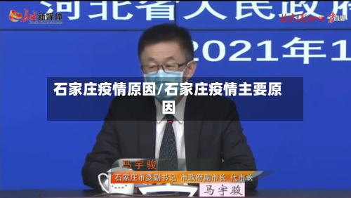 石家庄疫情原因/石家庄疫情主要原因