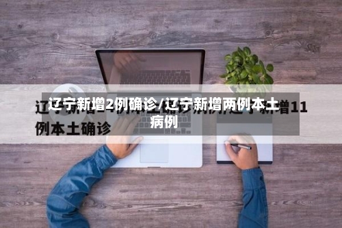 辽宁新增2例确诊/辽宁新增两例本土病例-第2张图片