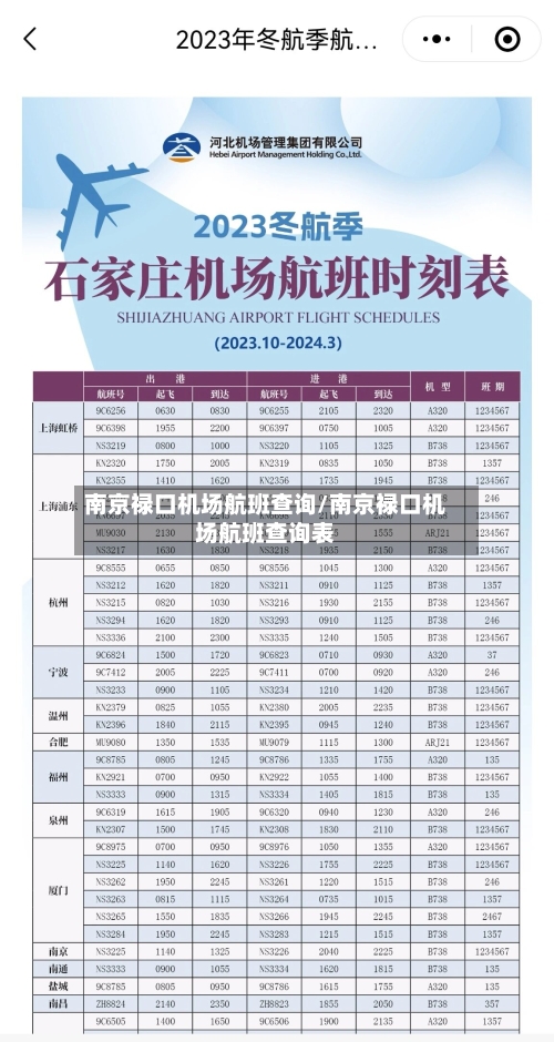 南京禄口机场航班查询/南京禄口机场航班查询表-第2张图片