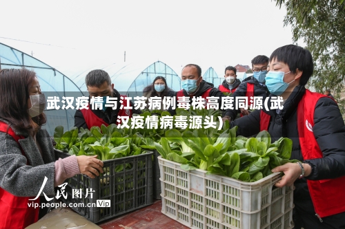 武汉疫情与江苏病例毒株高度同源(武汉疫情病毒源头)-第2张图片