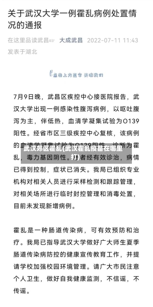 武汉郊区霍乱(武汉霍乱疫苗在哪里打)