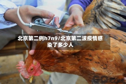 北京第二例h7n9/北京第二波疫情感染了多少人-第2张图片