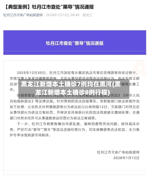 黑龙江新增本土确诊7例均在黑河(黑龙江新增本土确诊8例行程)
