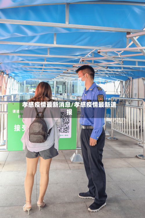 孝感疫情最新消息/孝感疫情最新速报