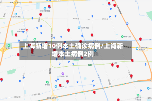 上海新增10例本土确诊病例/上海新增本土病例2例-第2张图片