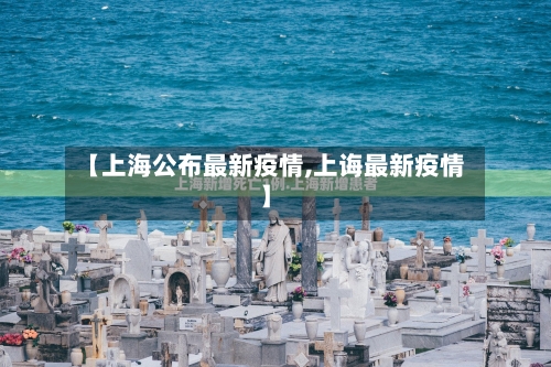 【上海公布最新疫情,上诲最新疫情】-第3张图片