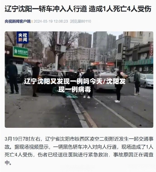 辽宁沈阳又发现一例吗今天/沈阳发现一例病毒-第2张图片