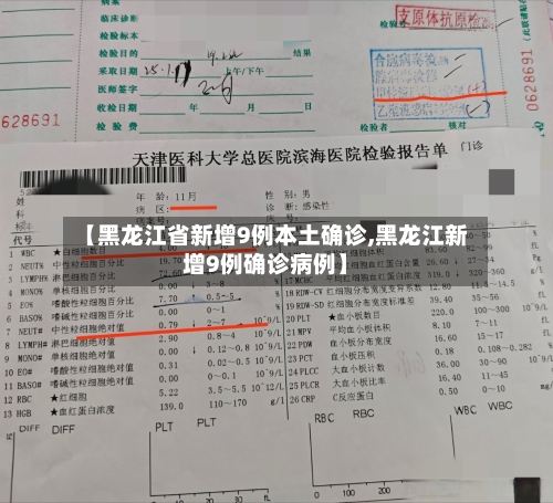 【黑龙江省新增9例本土确诊,黑龙江新增9例确诊病例】-第2张图片
