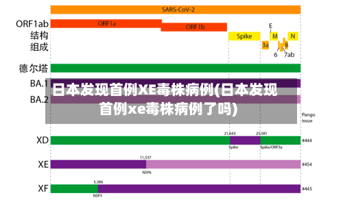 日本发现首例XE毒株病例(日本发现首例xe毒株病例了吗)-第3张图片
