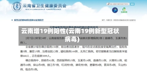 云南增19例阳性(云南19例新型冠状病毒)-第2张图片