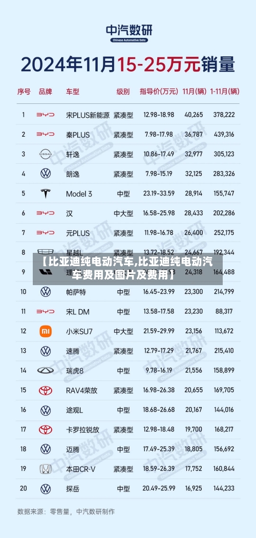 【比亚迪纯电动汽车,比亚迪纯电动汽车费用及图片及费用】