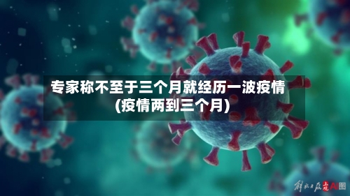 专家称不至于三个月就经历一波疫情(疫情两到三个月)-第2张图片