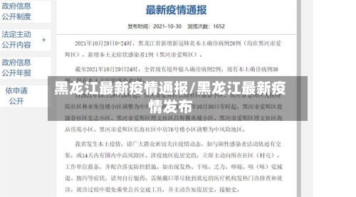 黑龙江最新疫情通报/黑龙江最新疫情发布-第3张图片