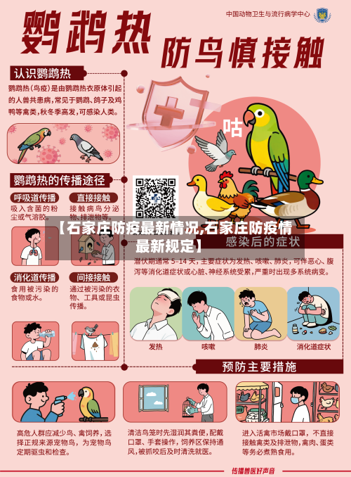 【石家庄防疫最新情况,石家庄防疫情最新规定】-第2张图片