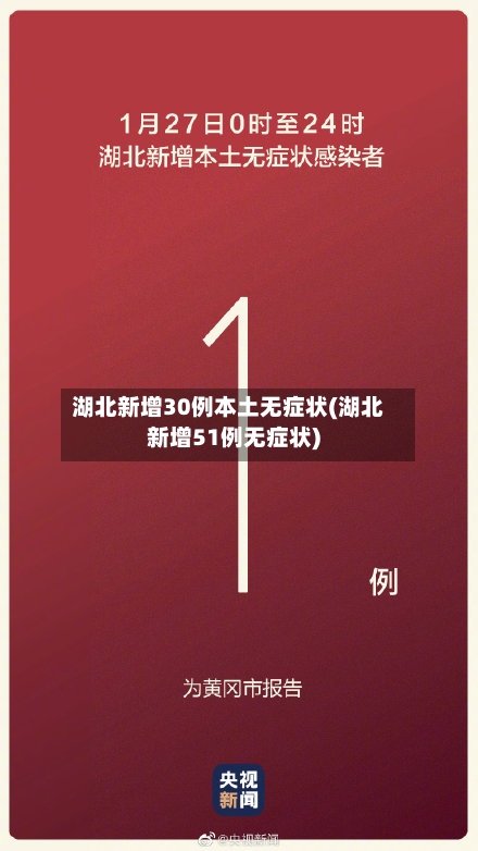 湖北新增30例本土无症状(湖北新增51例无症状)-第2张图片