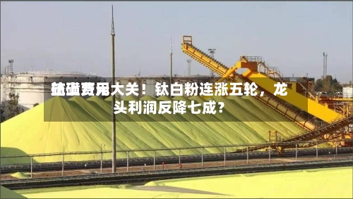 硫磺费用
站上万元大关!钛白粉连涨五轮,龙头利润反降七成?
