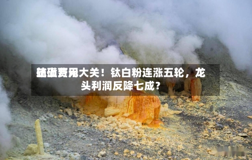 硫磺费用站上万元大关！钛白粉连涨五轮，龙头利润反降七成？-第2张图片