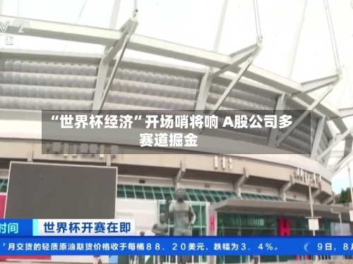 “世界杯经济”开场哨将响 A股公司多赛道掘金-第3张图片