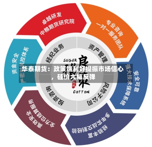 华泰期货：政策端利好提振市场信心，硅价大幅反弹-第3张图片