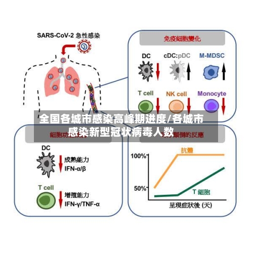 全国各城市感染高峰期进度/各城市感染新型冠状病毒人数