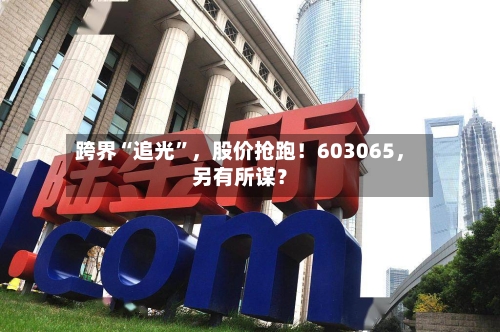 跨界“追光”，股价抢跑！603065	，另有所谋？-第2张图片