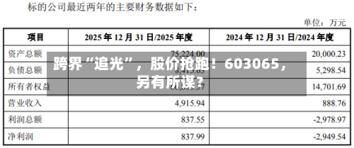 跨界“追光”，股价抢跑！603065	，另有所谋？-第3张图片