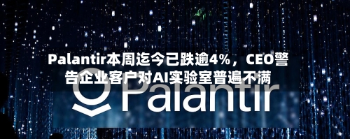 Palantir本周迄今已跌逾4%,CEO警告企业客户对AI实验室普遍不满